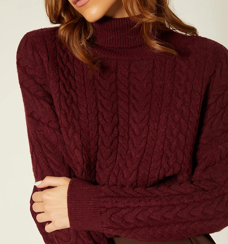 Turtleneck Knitted Sweater