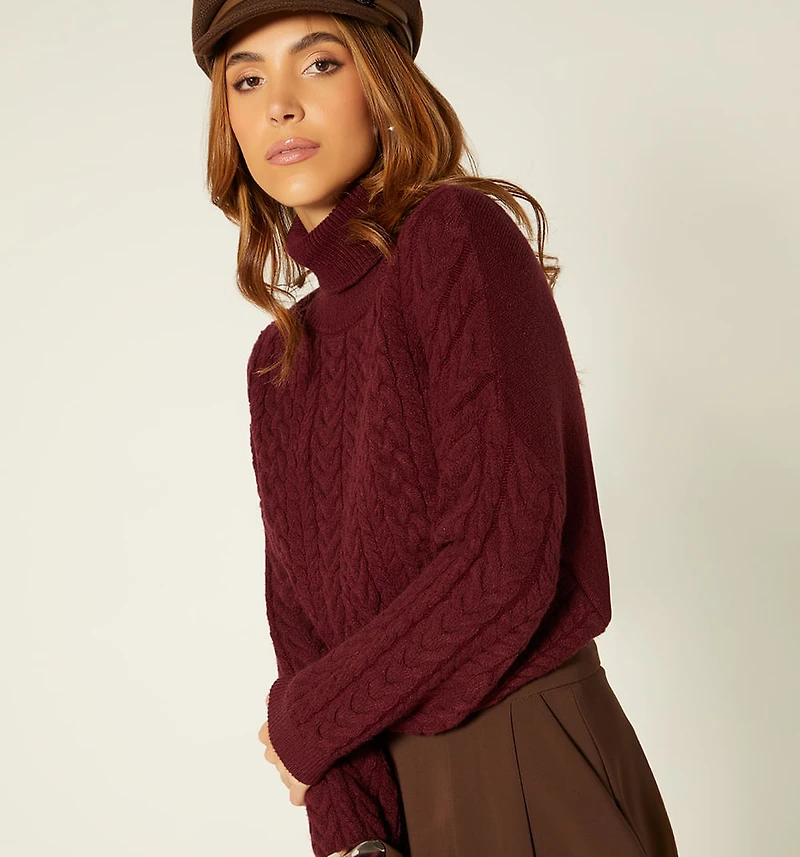 Turtleneck Knitted Sweater