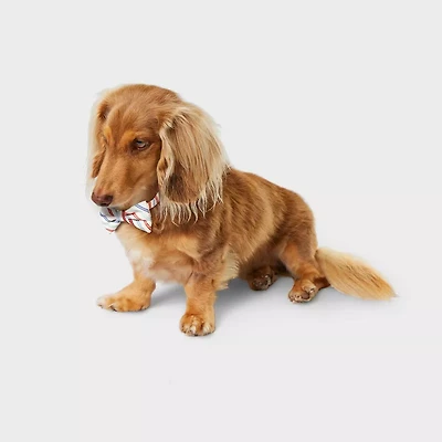benicci hands free waist dog leash Hands FREE Pet Leash – Pup Town Spaw LLC main image 1