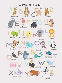 Animal Alphabet - Dear Eyla