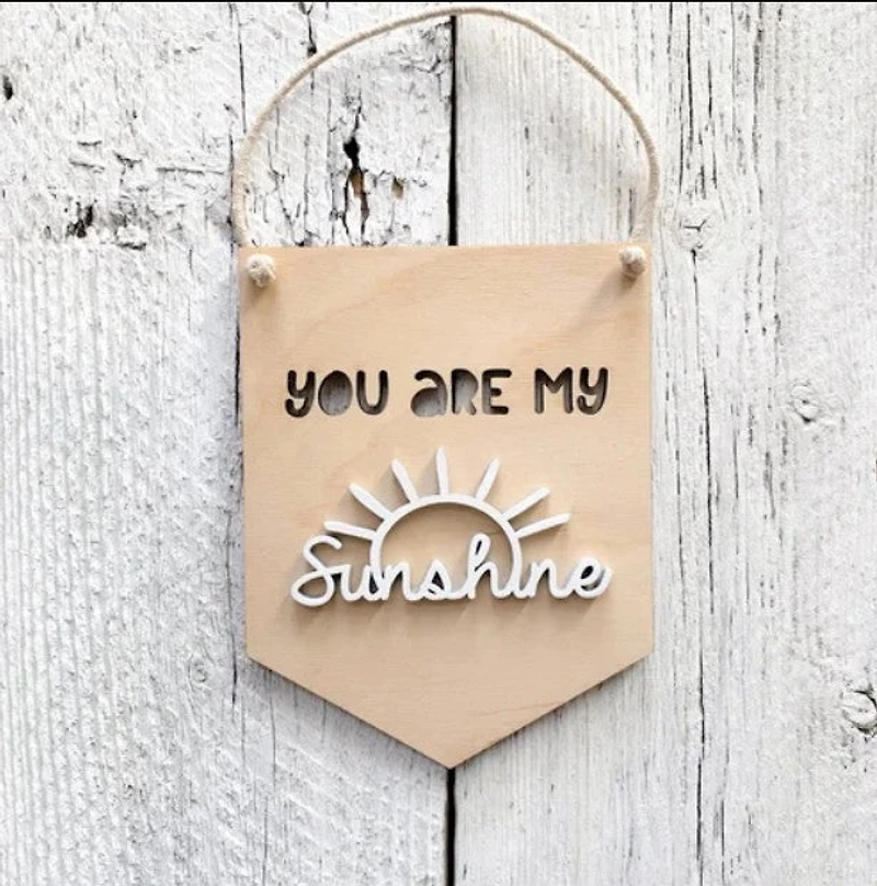 You Are My Sunshine 3D Wall Hanging