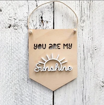 You Are My Sunshine 3D Wall Hanging