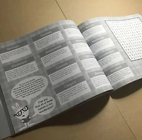 Hello #YEG Activity Book - Snow Alligator