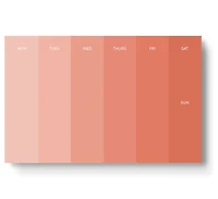 Paint Chip / Weekly Planner  - Elyse Breanne Design