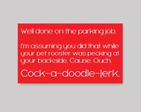 Ouch Parking Cards - What She Said Creatives