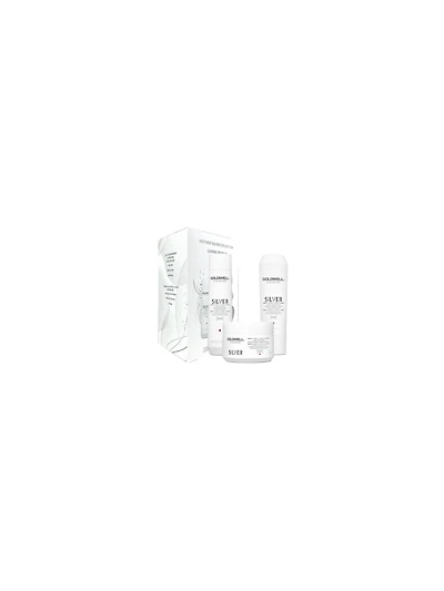 Goldwell Dualsenses Silver Holiday Trio