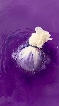 Deep Sleep | Lavender Bath Bomb