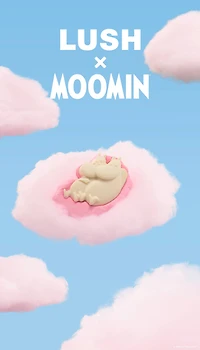 Presale Product: Moomin Delight