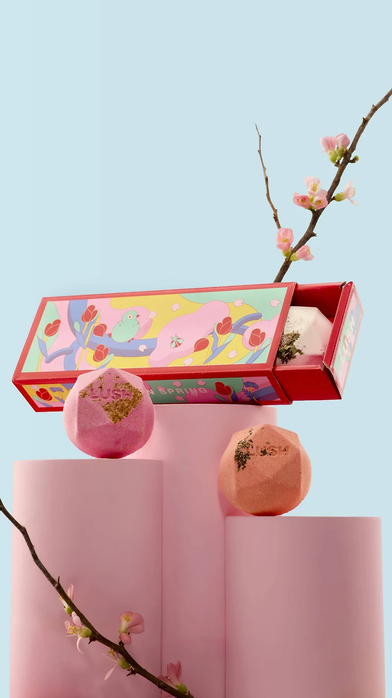 Cadeau Ippuku In Spring