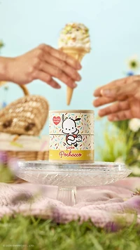 Pochacco