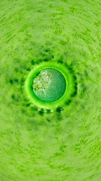 Green Fairy Bath Bomb