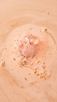 Cadeau Ippuku In Spring