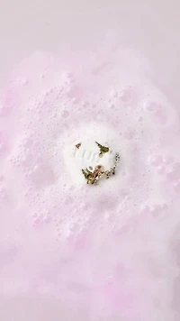 Cadeau Ippuku In Spring