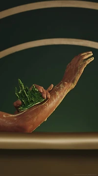 Book a Bath: Wicked