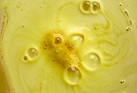 Bombe pour le bain Lion