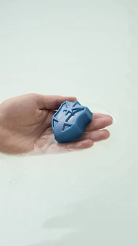 Guardian Shield Soap