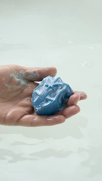 Guardian Shield Soap