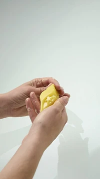 Soothing Shell Soap