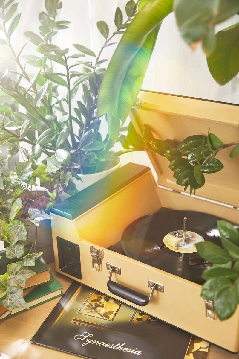 Vinyle avec clé USB Synaesthesia