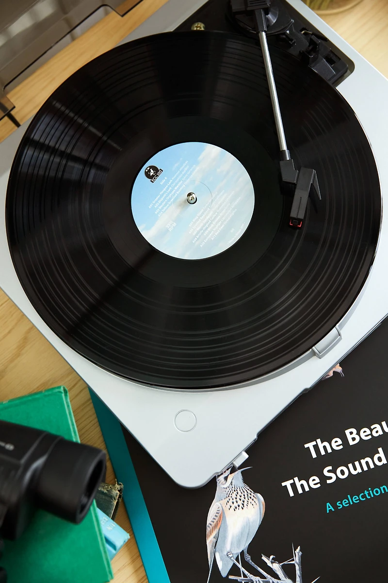 The Beauty Of The Sound Approach Vinyl With USB