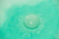 The Art Of Bathing | Gift