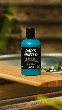 Dad's Minted Shower Gel