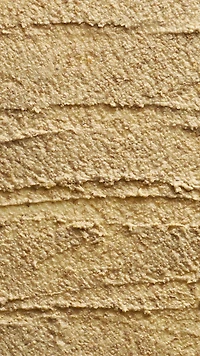 Enzynamite | Enzymic Cleanser