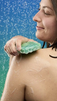 Freshly Ever After Soap