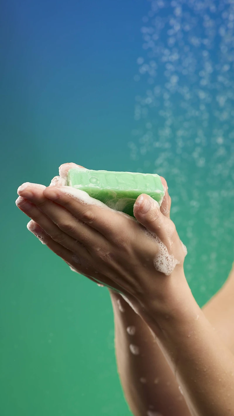 Freshly Ever After Soap