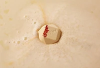 Ippuku Dan | Warming Bath Bomb Trio