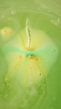 Hutan Bath Bomb