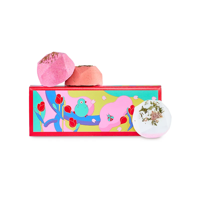 Cadeau Ippuku In Spring