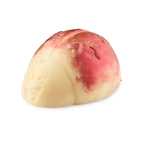 Love Bug Scrubee Body Scrub