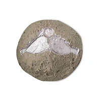 Lovey Dovey Fresh Cleanser