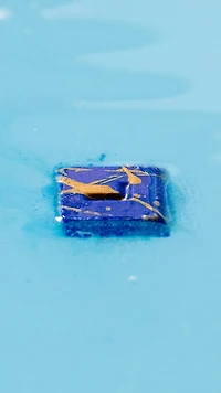 My Space | Lush Melt