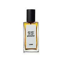 No Way To Say Goodbye Perfume