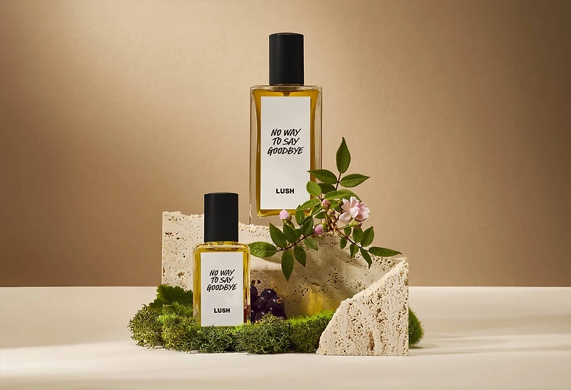 No Way To Say Goodbye Perfume