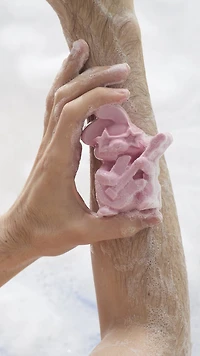 Savon Rock Star Rabbit