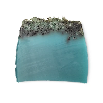 Sea Vegetable | Soap