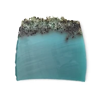 Sea Vegetable | Soap