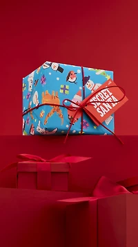 Secret Santa Gift