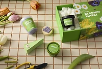 Lush Kitchen Shower Box