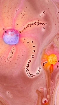 Cadeau Chris The Carrot