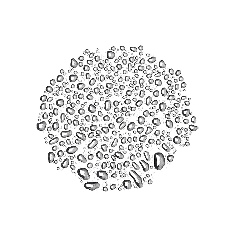 Tonique Tea Tree Water