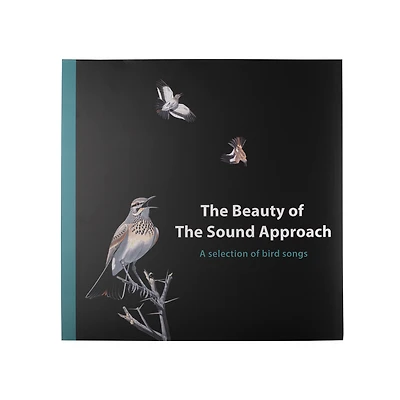 The Beauty Of The Sound Approach Vinyl With USB