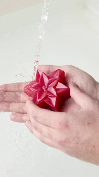 Wreath Soap