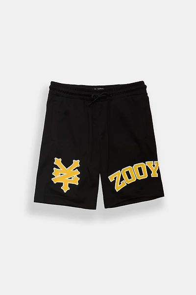 Zoo York Youth Logo Mesh Shorts - /