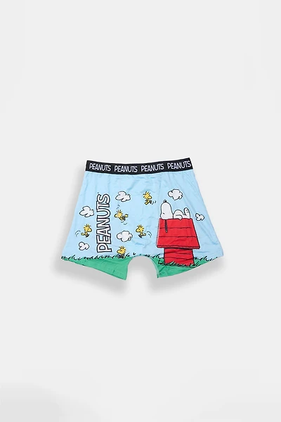 Youth Peanuts Snoopy Doghouse Printed Boxer Briefs - Multi /