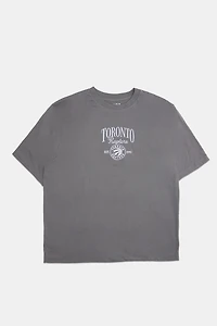Mens Toronto Raptors Embroidered Graphic T-Shirt - Heather Grey /