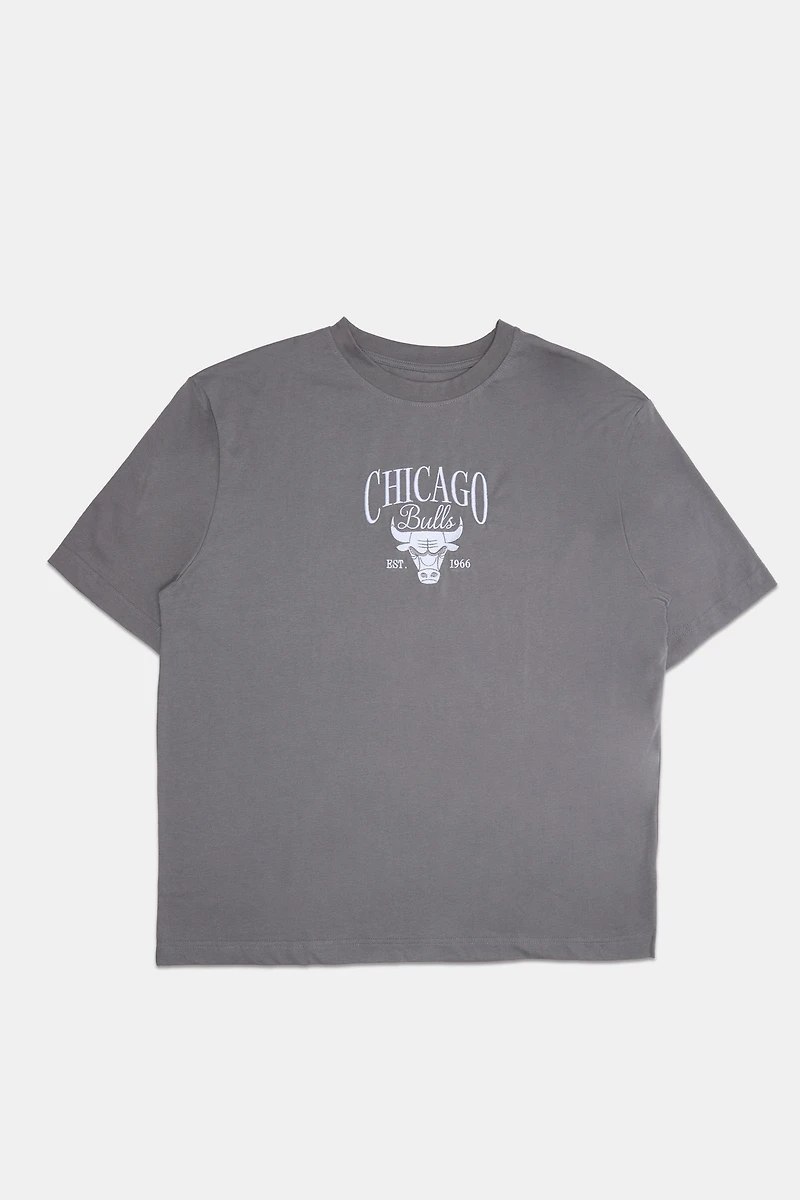 Mens Chicago Bulls Embroidered Graphic T-Shirt - Grey Blue /
